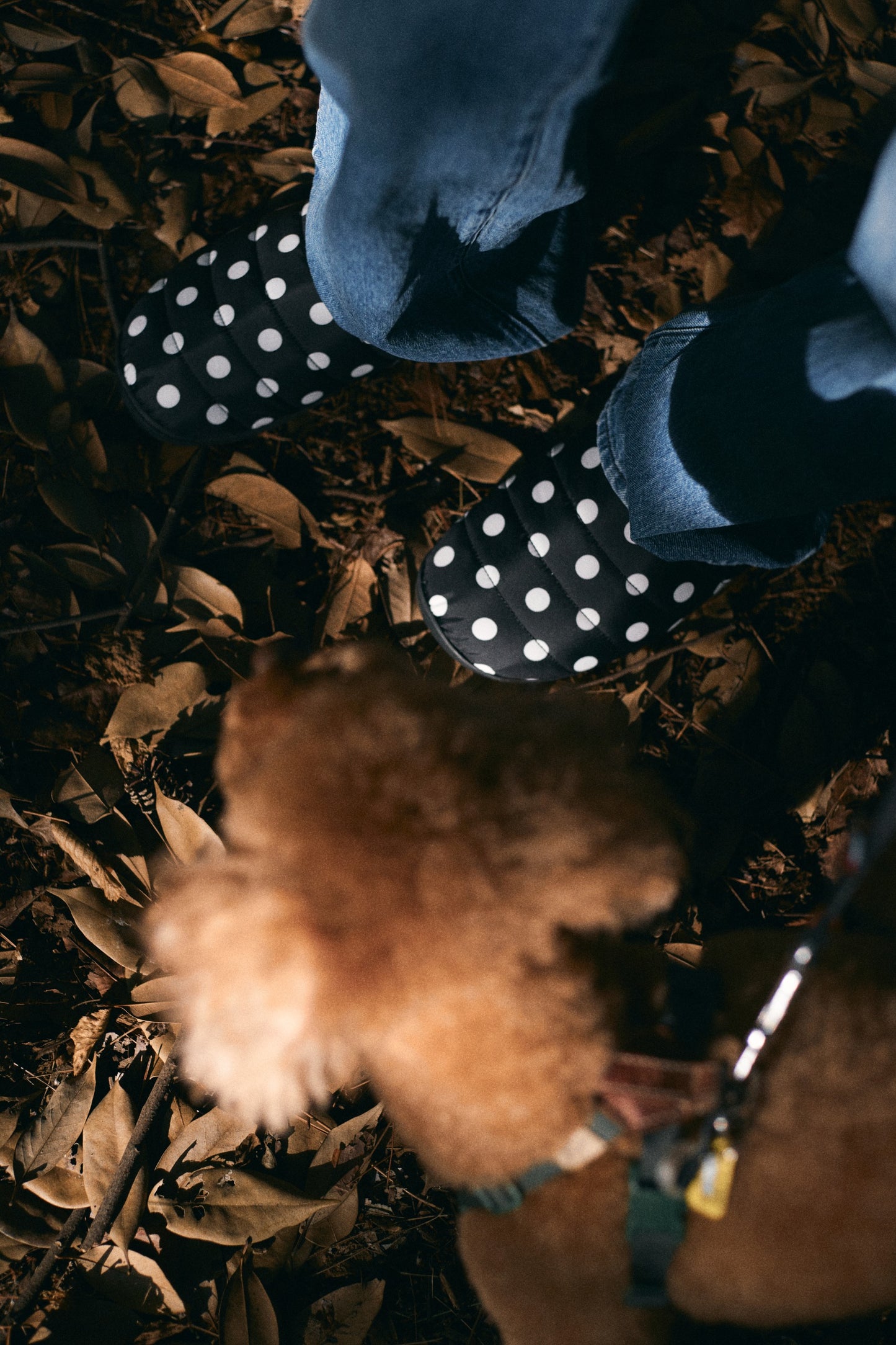 ORIGINALS F-LINE DOTS