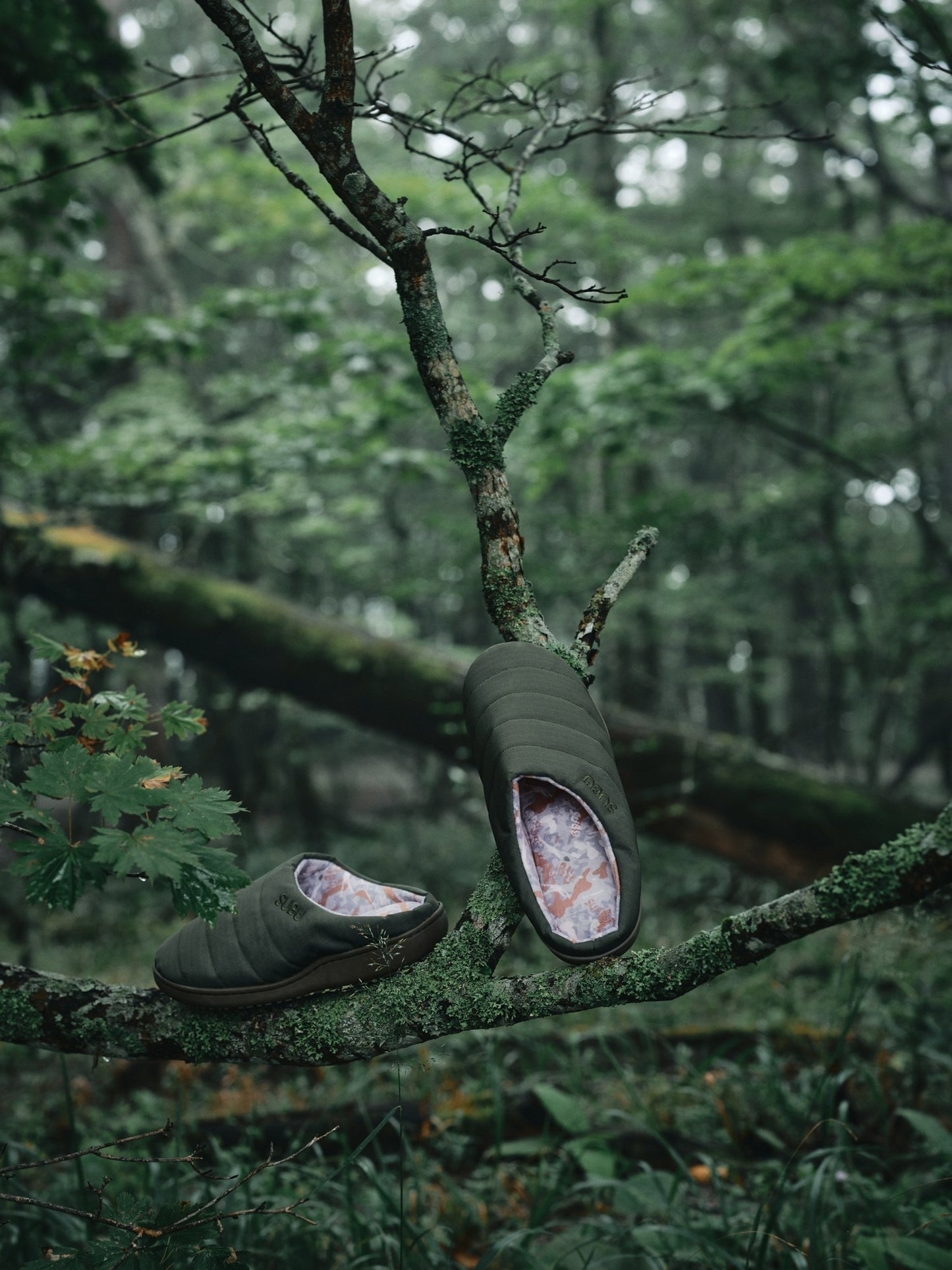 NANNEN FIELD OLIVE