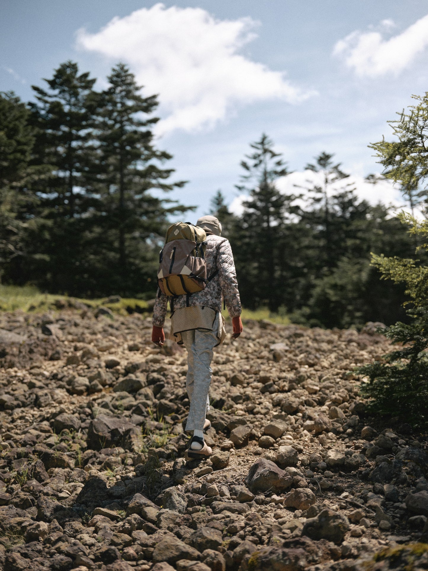 NANNEN+H COYOTE