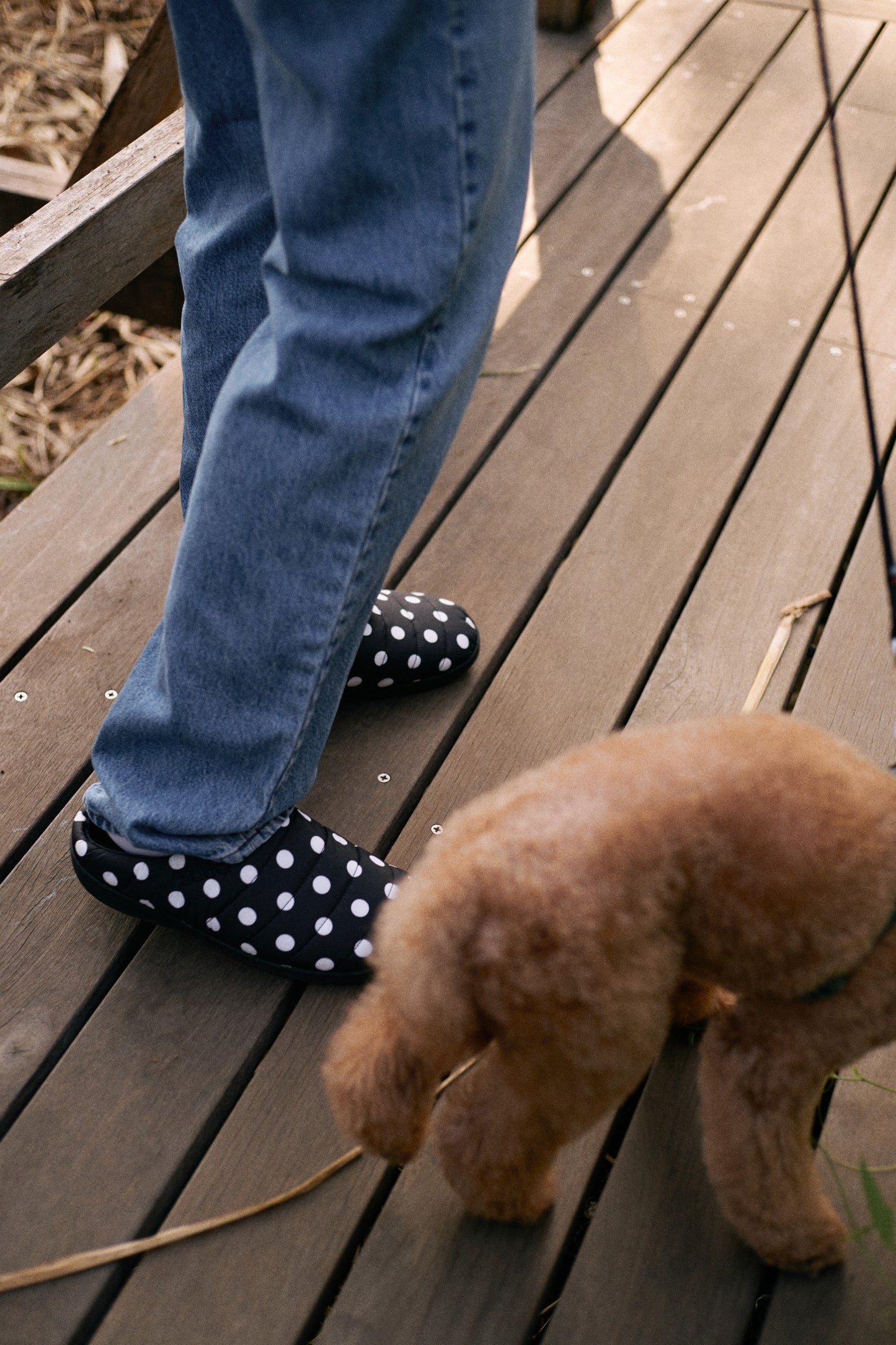 ORIGINALS F-LINE DOTS